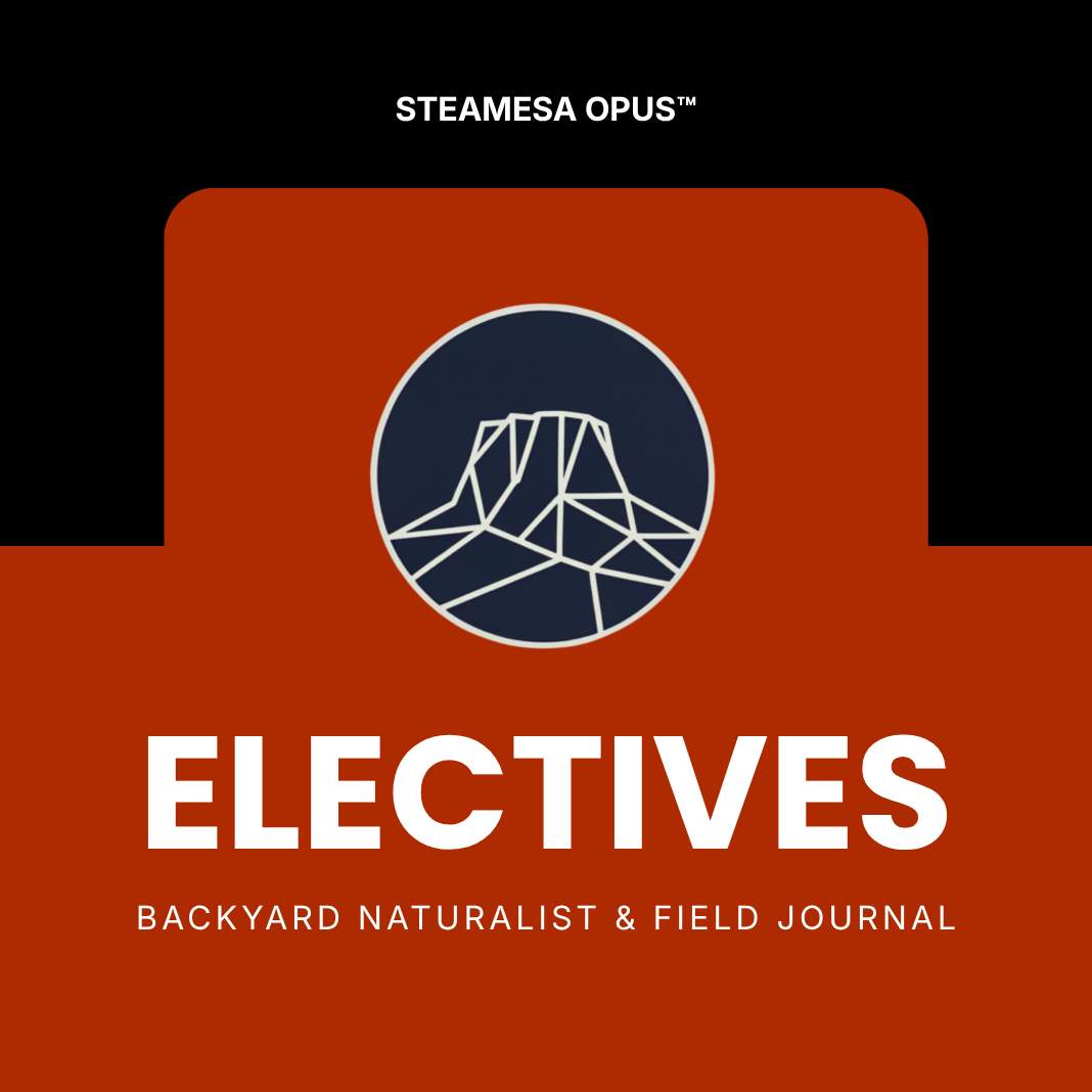 STEAMESA Elective — Backyard Naturalist & Field Journal (Grades 5-8)